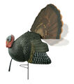Killer B Turkey Decoy